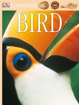 cover image of Bird
